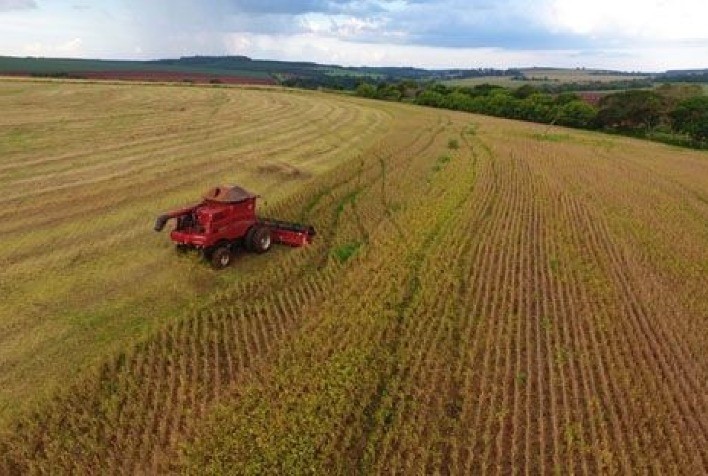 Secretaria de Agricultura e Abastecimento de SP intensifica a produção de sementes