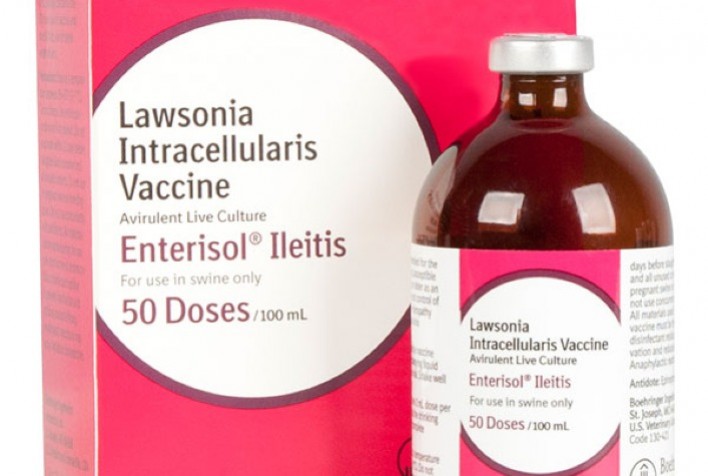 Autoridades alemãs reconhecem redução de Salmonella em suínos após vacinação com Enterisol® Ileitis