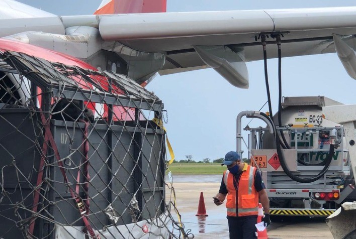 Importação de touros vivos para valorizar o mercado nacional de carnes gourmets