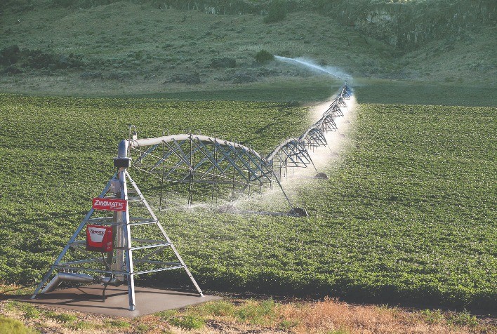 Irrigação eficiente precisa ser sustentável e econômica