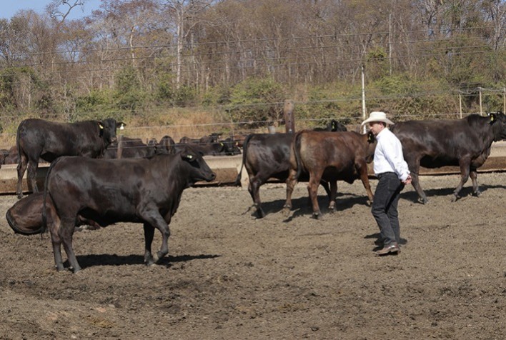 Uma pecuária para promoção da paz e combate à fome