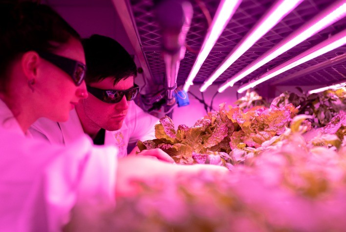 Agro 4.0: tendências tecnológicas impulsionam setor
