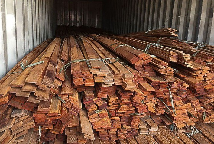 Operação da PF combate desmatamento ilegal na Floresta Amazônica