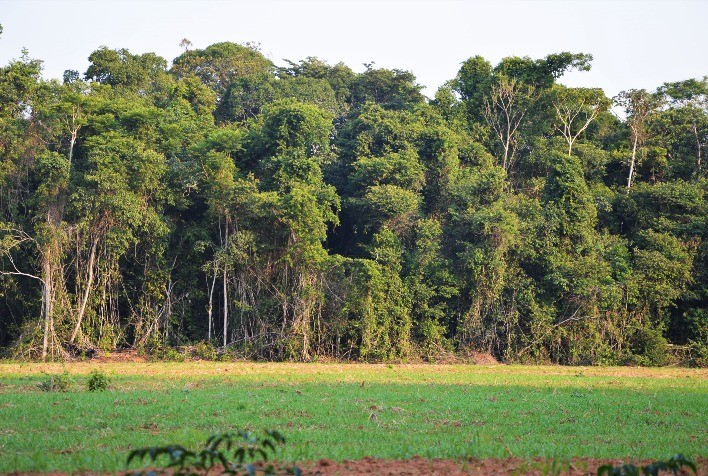 Parceria com o Censipam vai atualizar os dados do projeto TerraClass Amazônia