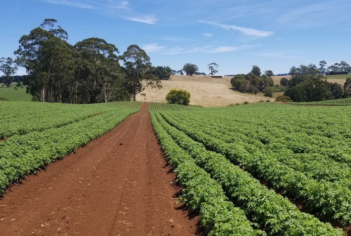 Nova lei do agro facilita acesso do setor aos investimentos do exterior