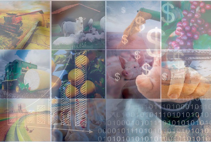 Investimento alternativo reinventa a forma de se enxergar o Mercado AGRO