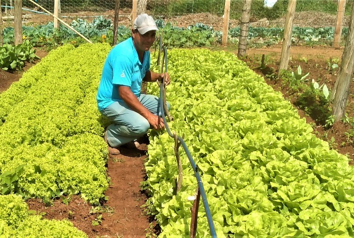 Horta comunitária agroecológica traz benefícios para produtores e moradores de Serrania, município do Sul de Minas