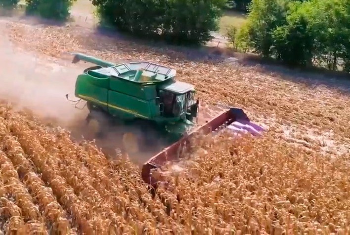 Austrália vai colher safra abundante de trigo