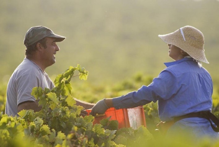Geração de empregos no agro tem melhor resultado em 10 anos