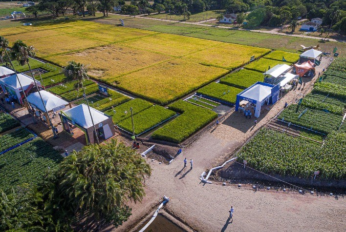 Ihara apresenta soluções para o cultivo do arroz e soja