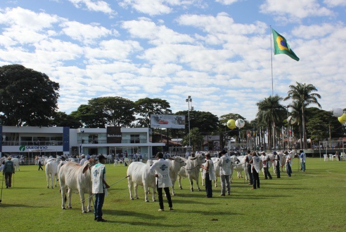 Raça Brahman confirma participação na ExpoZebu 2021