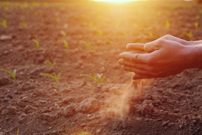 Garantia-Safra autoriza pagamento para mais de 88 mil agricultores familiares