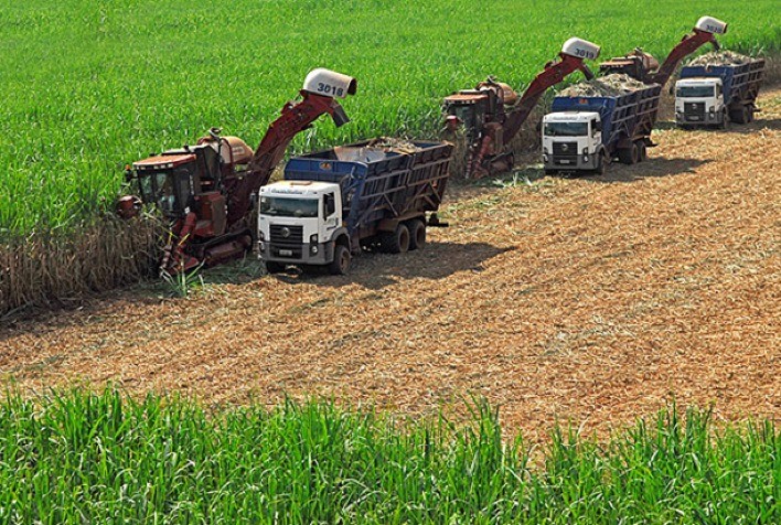 Mecanização na colheita da cana-de-açúcar é a principal responsável pela queda nas emissões de GEE por queima de resíduos agrícolas