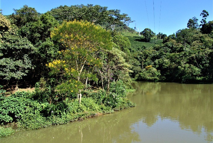 Programa de Regularização Ambiental estimula recuperação de áreas desmatadas