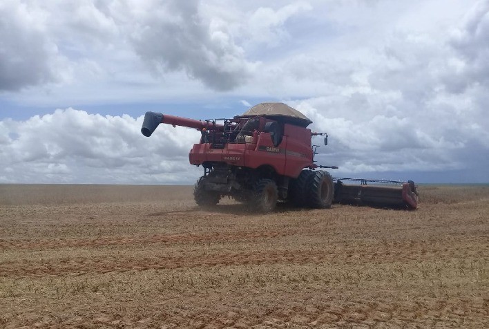 Tecnologia via satélite permite amplo monitoramento da safra