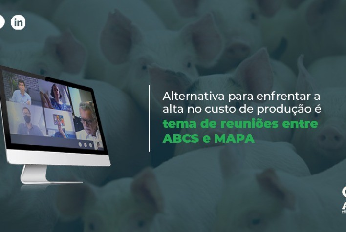 Suinocultura: Alternativa para enfrentar a alta no custo de produção é tema de reuniões entre ABCS e MAPA