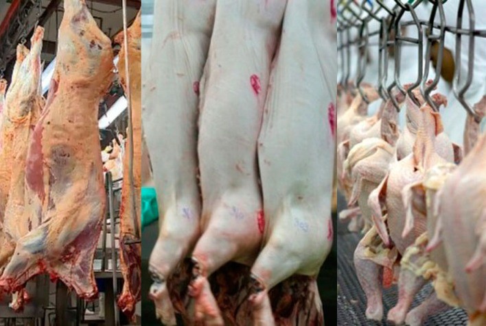 Desempenho exportador das carnes nas três primeiras semanas de fevereiro