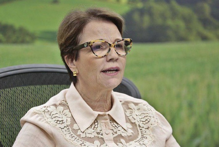 Tereza Cristina espera analisar dados do CAR e avançar na regularização ambiental em 2021