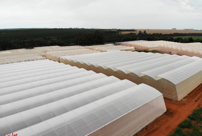Brasil é destaque internacional no segmento de cultivo protegido