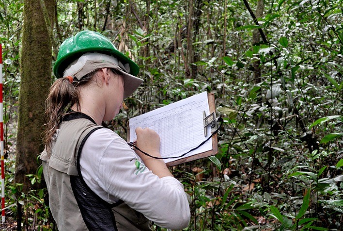 Serviço Florestal Brasileiro completa 15 anos de gestão das florestas públicas federais