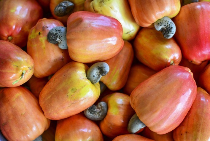 Índice CEAGESP tem queda de 2,6% em fevereiro