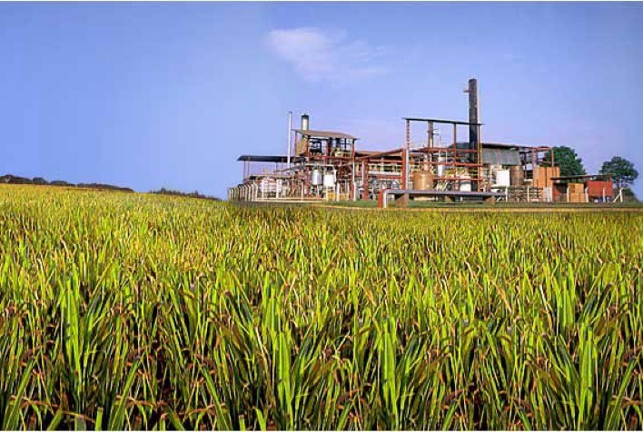 Novo dilema em velha briga de Usinas e União