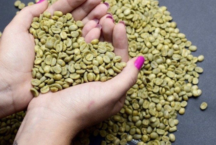 Empresa canadense premia café de cooperadas da Cooxupé