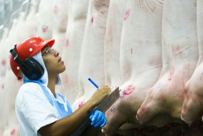 Exportação de carne suína começa março em ritmo acelerado