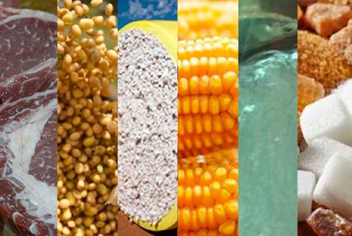 Estão disponíveis as análises agromensais de FEVEREIRO/2021 do Cepea