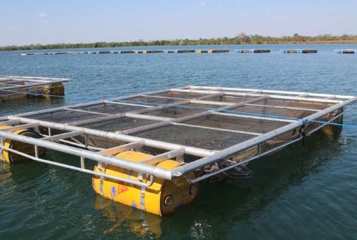 Instituto de Pesca se une a órgão federal para incentivar aquicultores paulistas a preencherem Relatório Anual de Produção