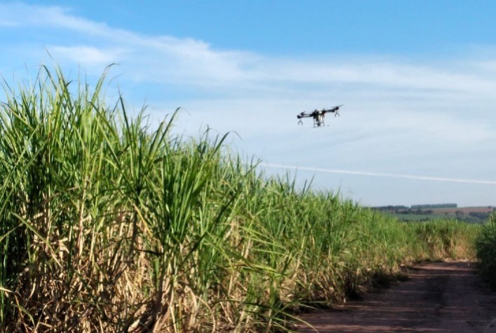 Açúcar, etanol e energia: Unidades produtoras contam com nova tecnologia para controle eficaz da broca-da-cana na safra 2021-22