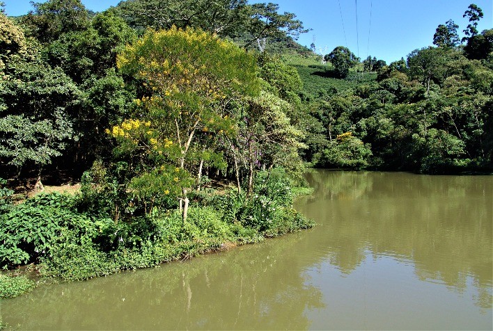 Especialistas debatem contribuição do meio rural para melhoria da oferta de água