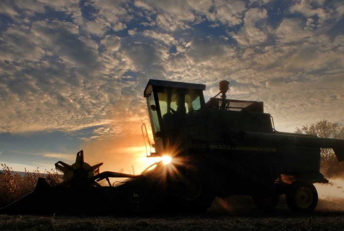 Colheita de soja alcança 59%