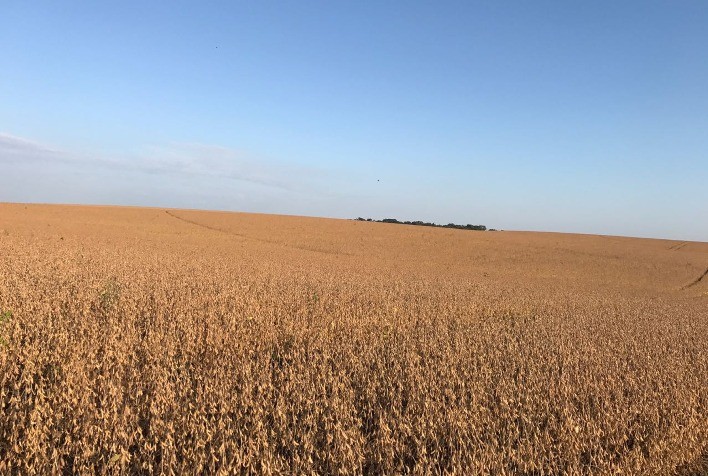 Segurança jurídica na comercialização requer a atenção do produtor