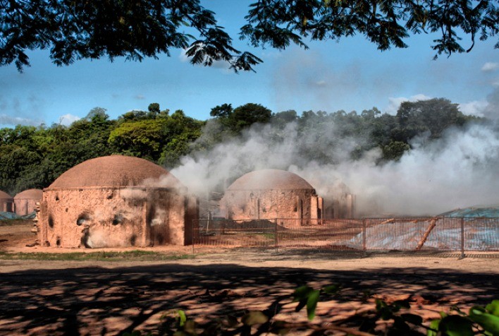 Agricultores são condenados por extrair lenha para carvão