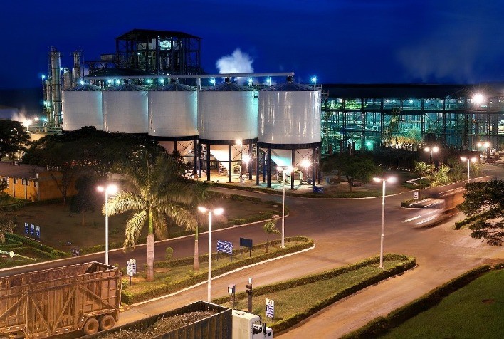 Programa de Estágio BP Bunge Bioenergia 2021 oferece 124 vagas para universitários