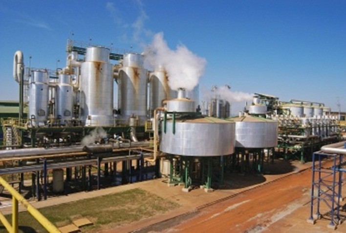 Biocombustíveis: otimismo moderado