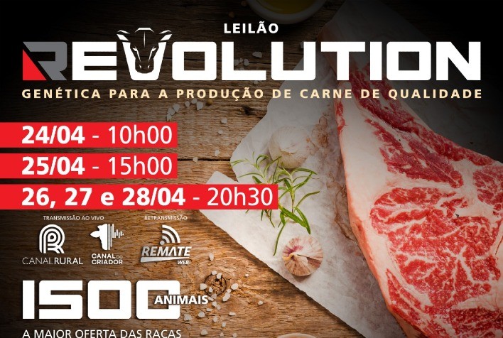 Leilão Revolution irá ofertar genética Angus e Ultrablack