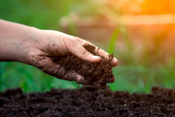 Manejo biológico personalizado do solo aumenta a produtividade e a  qualidade da produção agrícola - Portal do Agronegócio