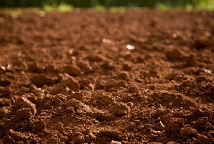 Corteva Agriscience, Sociedade Brasileira de Ciência do Solo e Embrapa Solos promovem evento no Dia Nacional da Conservação do Solo