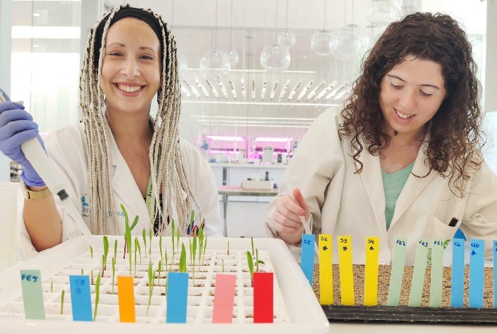 Kimitec anuncia forte plano de expansão no Brasil