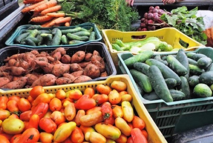 Produção orgânica cresceu 20% na Argentina