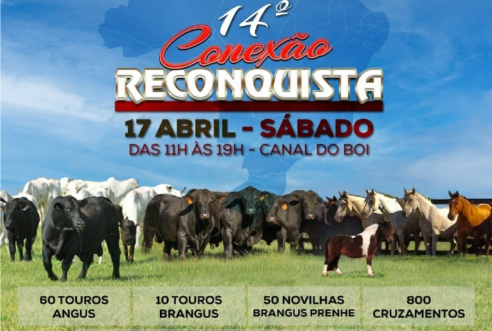 Reconquista ofertará genética Angus em remate virtual