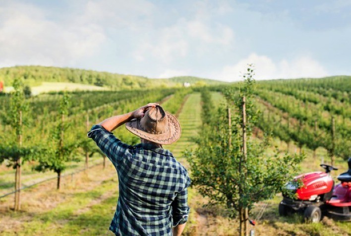 Geosys Brasil e Traive firmam parceria para integrar gestão de crédito e monitoramento de risco agrícola