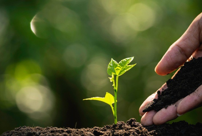 Liderança para um futuro sustentável