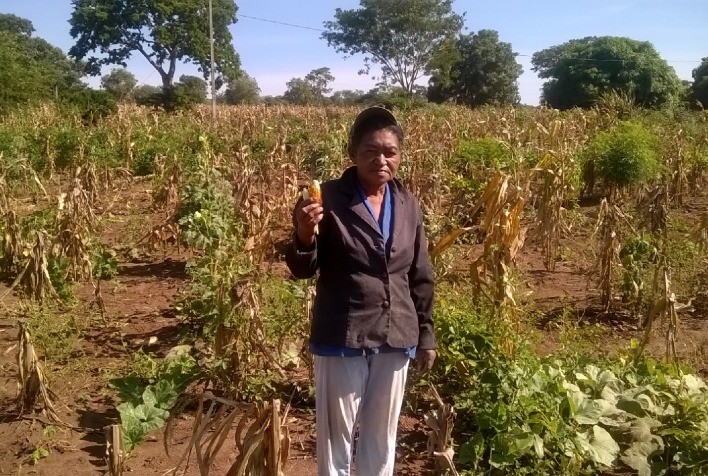 Governo de Minas repassa R$ 3,2 milhões do Aporte Estadual ao fundo Garantia Safra 2020/2021