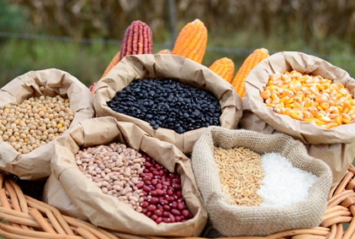 Santa Catarina alcança o maior valor de produção agropecuária da história