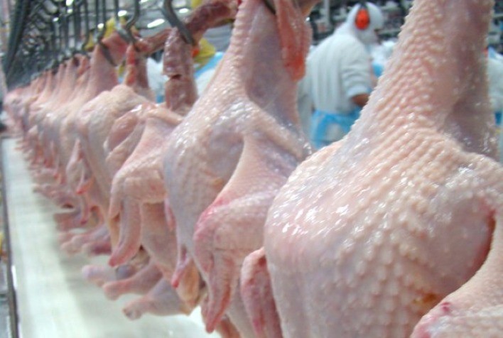 No mix exportado no 1º trimestre, só frango inteiro registrou aumento de preço