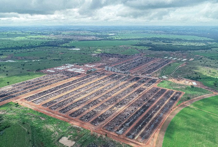 Protocolo sanitário antes da entrada no confinamento é fundamental para sucesso da intensificação