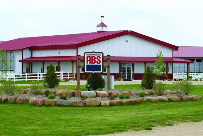 Novas opções de genética Nelore são destaque no mercado